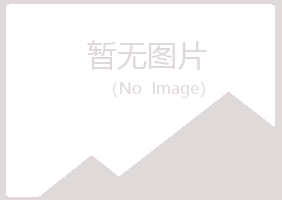 锦屏县未来金属有限公司